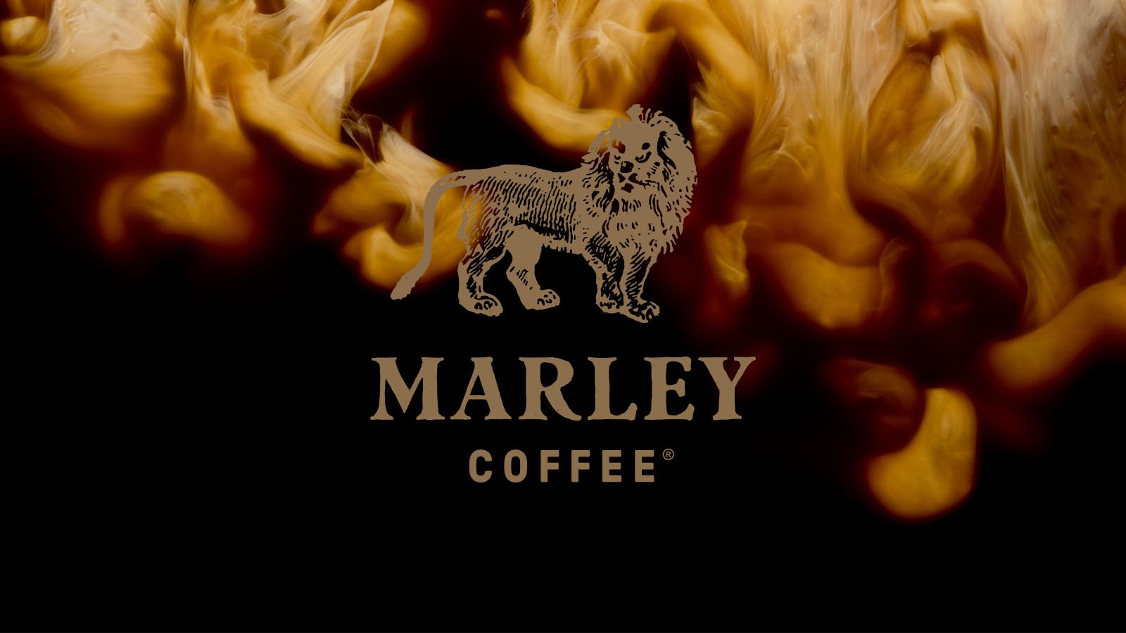 Portfolio_Cover_ImagesMarley Coffee